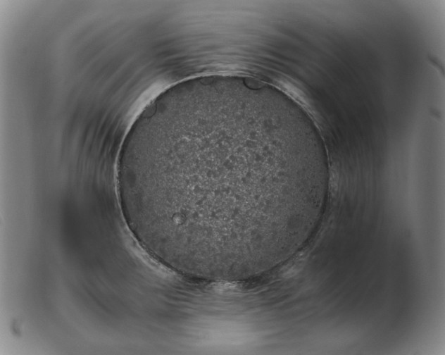 X0000103431283200809191652
