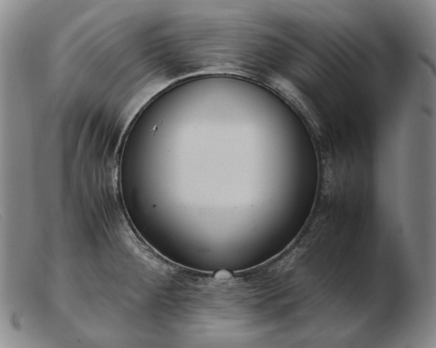 X0000103431284200809191652