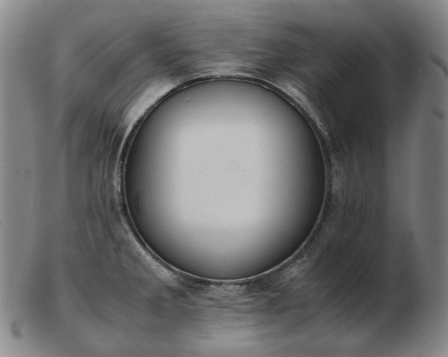 X0000103431285200809191652