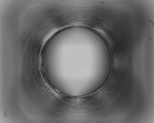 X0000103431286200809191652