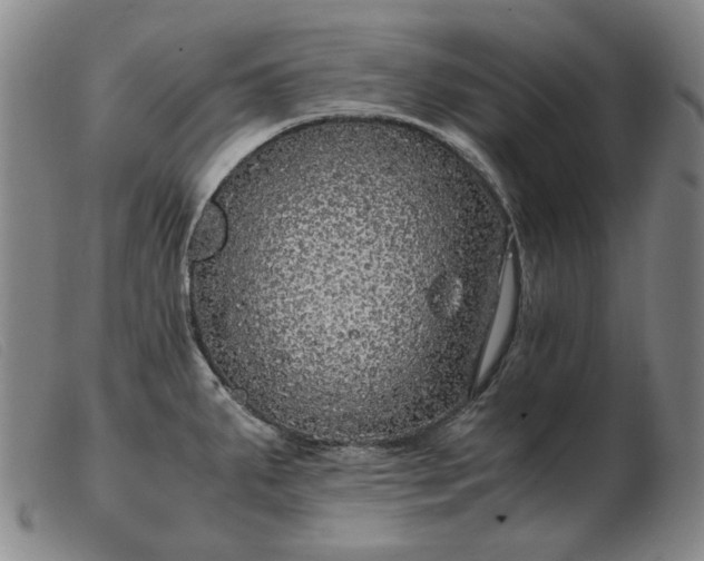 X0000103431287200809191652