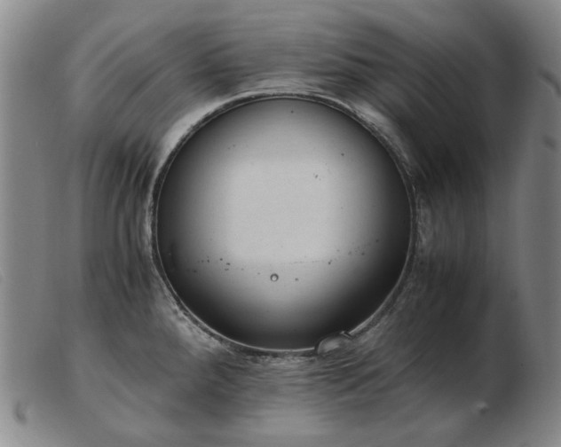 X0000103431288200809191652