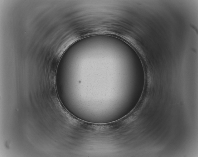 X0000103431289200809191652