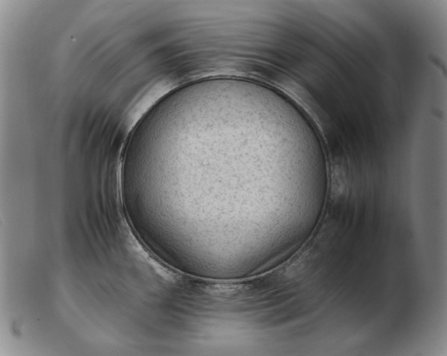 X0000103431290200809191652