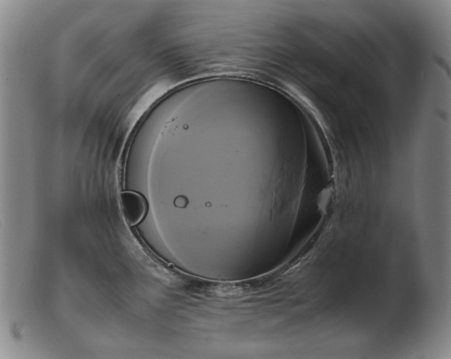 X0000103431291200809191652