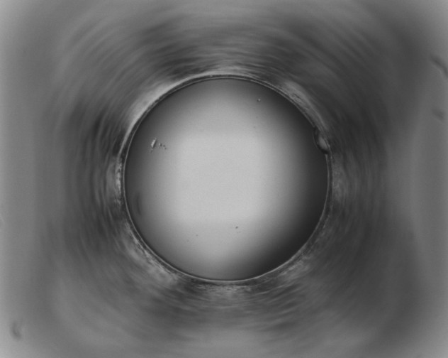 X0000103431292200809191652