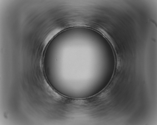 X0000103431293200809191652