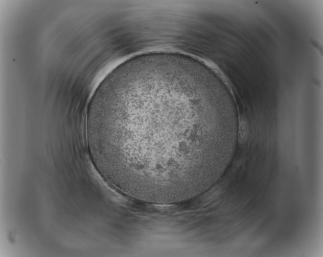 X0000103431295200809191652