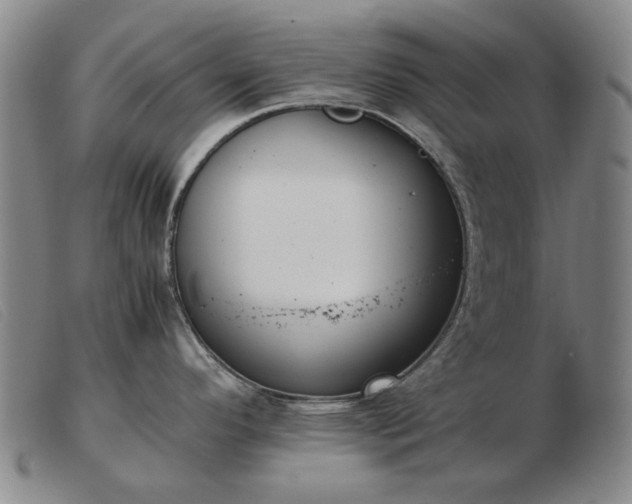 X0000103431296200809191652