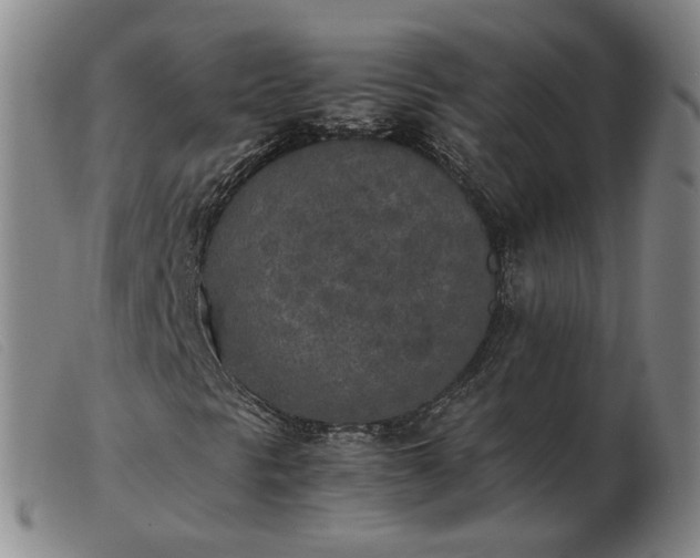 X0000103431297200809191651