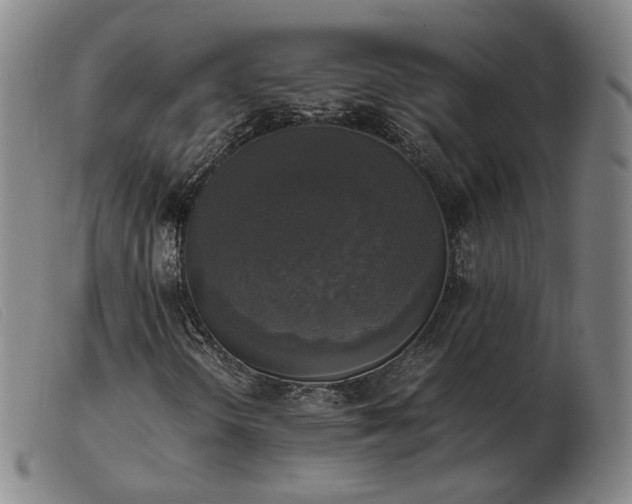 X0000103431298200809191651