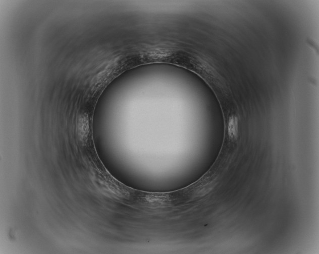 X0000103431299200809191651