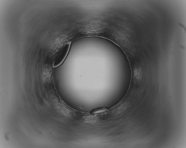 X0000103431300200809191651