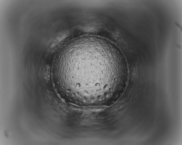 X0000103431301200809191651