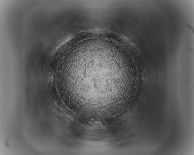 X0000103431302200809191651