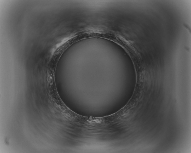 X0000103431303200809191651