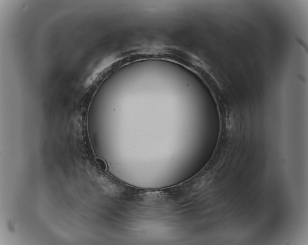 X0000103431304200809191651