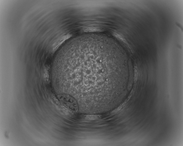 X0000103431305200809191651