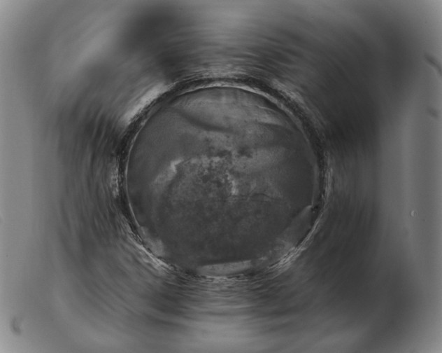 X0000103431306200809191651