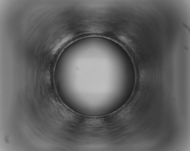 X0000103431307200809191651