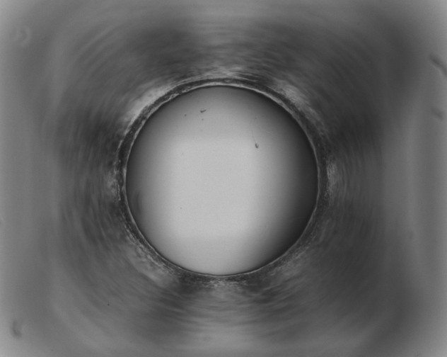 X0000103431308200809191651