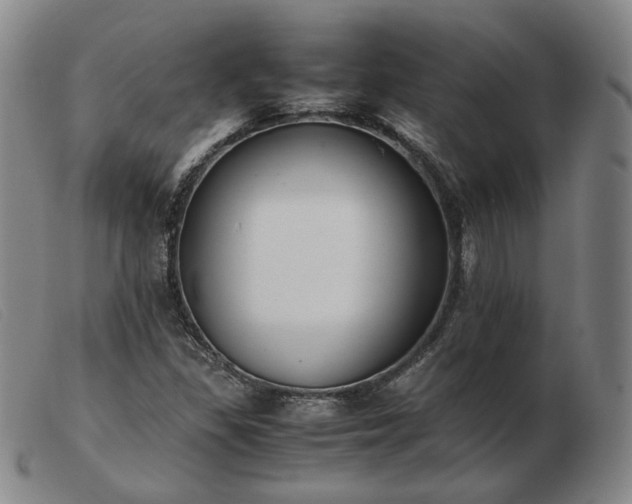 X0000103431309200809191651