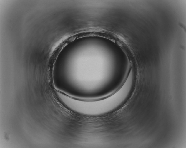 X0000103431310200809191651