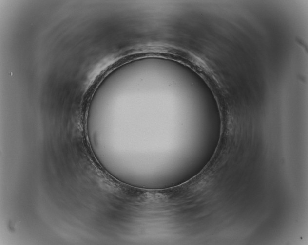X0000103431312200809191651