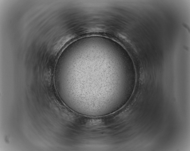 X0000103431313200809191651