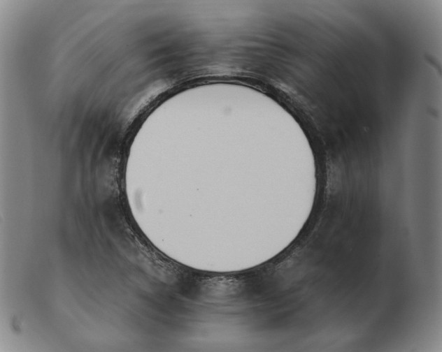 X0000103431314200809191651