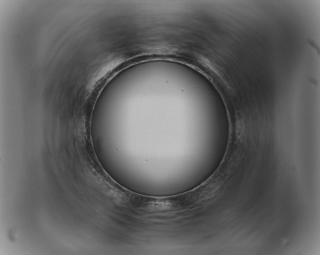 X0000103431315200809191651