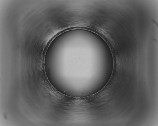 X0000103431316200809191651