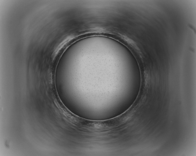 X0000103431318200809191651