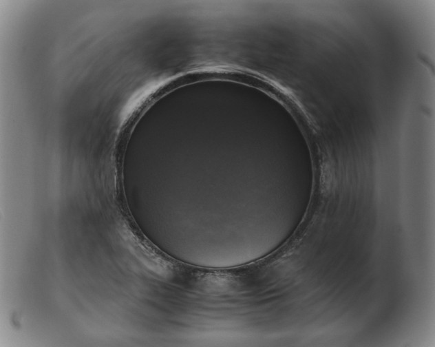 X0000103431319200809191651
