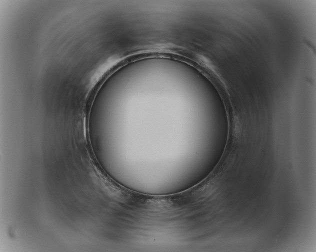 X0000103431320200809191651