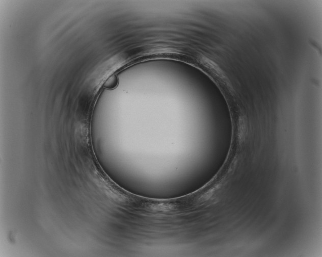 X0000103431321200809191651