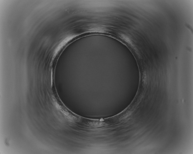 X0000103431323200809191651