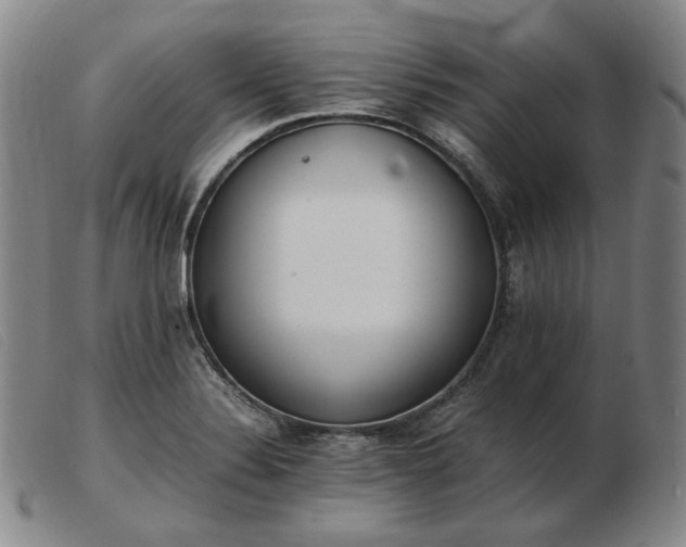 X0000103431324200809191651