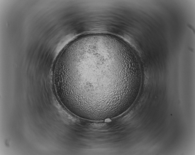 X0000103431325200809191651