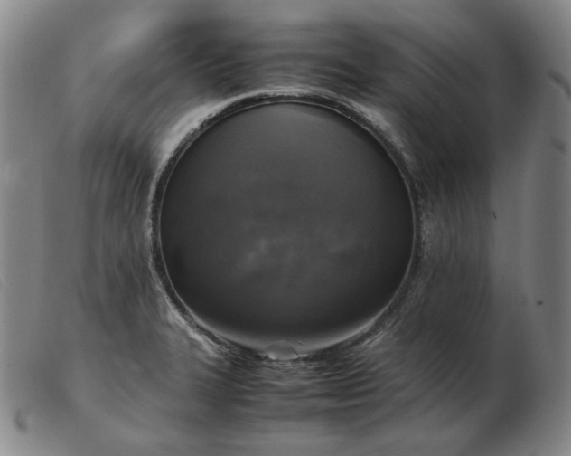 X0000103431327200809191651