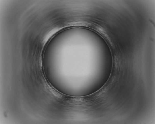 X0000103431328200809191651