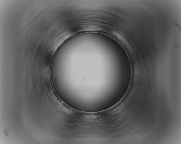 X0000103431329200809191652