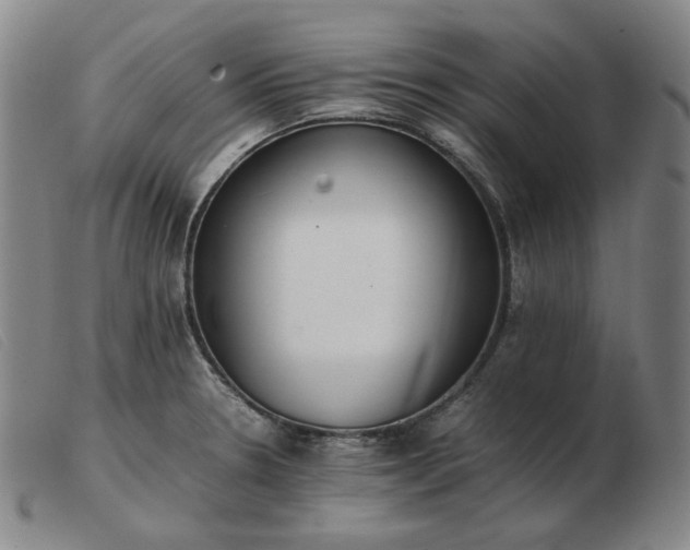 X0000103431330200809191652