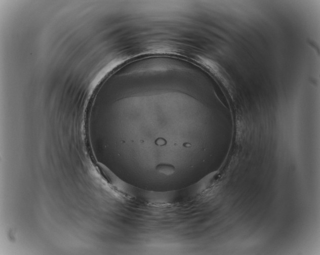 X0000103431331200809191652