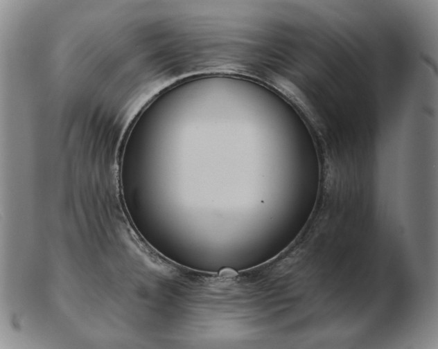 X0000103431332200809191652