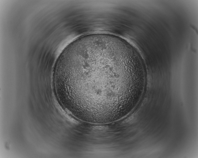 X0000103431333200809191652