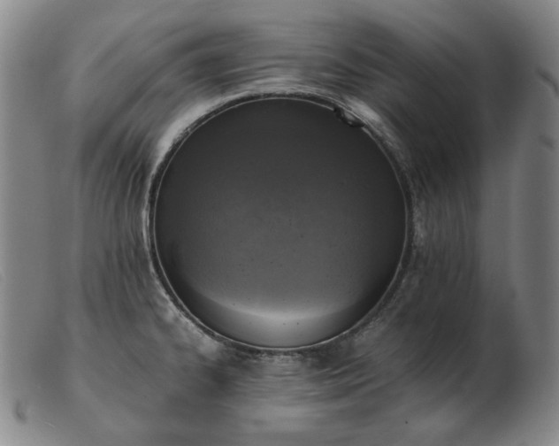 X0000103431334200809191652