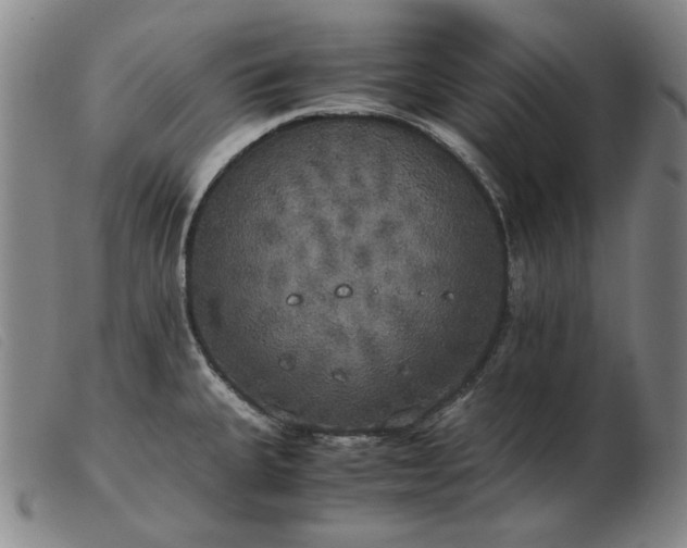 X0000103431335200809191652
