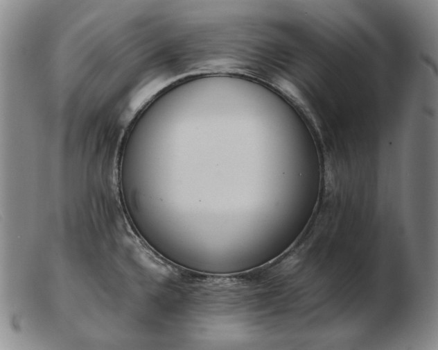 X0000103431336200809191652