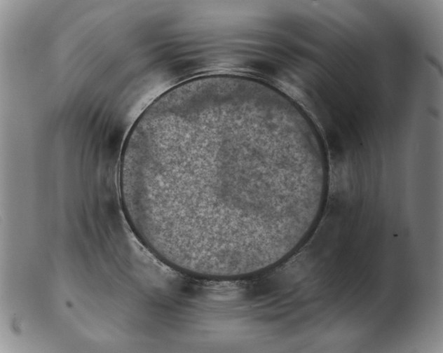 X0000103431338200809191652